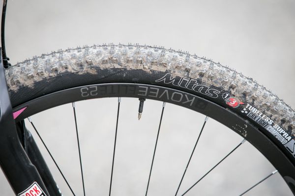 Trek Jany Czeczinkarové