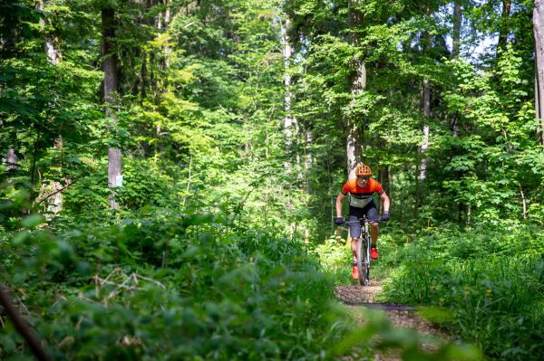 Cannondale FS-i TEST