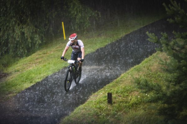 Malevil Cup by Author 2018