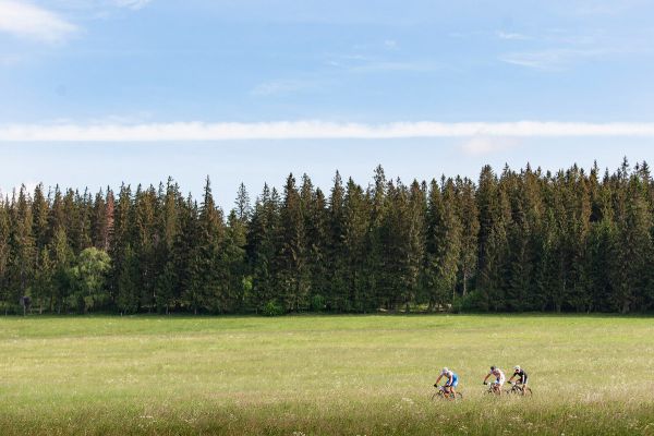 Author Král Šumavy 2018 - mistrovství ČR v MTB maratonu
