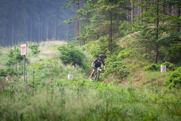 Malevil Cup by Author 2018