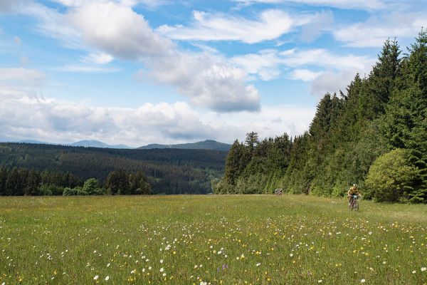 Author Král Šumavy 2018 - mistrovství ČR v MTB maratonu