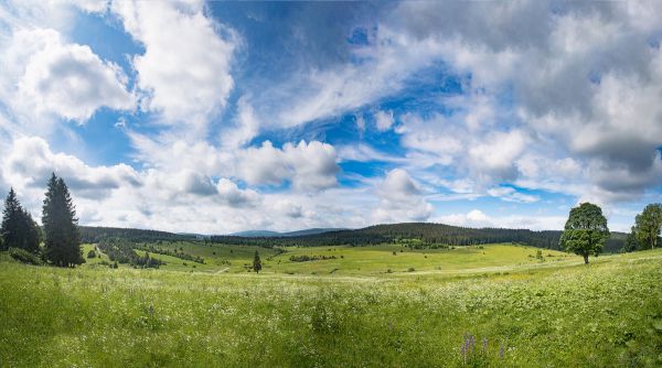 Author Král Šumavy 2018 - mistrovství ČR v MTB maratonu