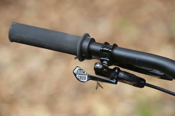 Canyon Torque CF 9.0