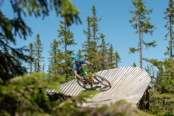 GT Force & Sensor 2019