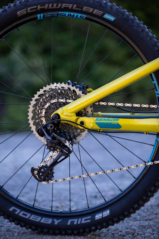 GT Force & Sensor 2019