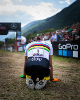 ... neměl to ale zadarmo. 