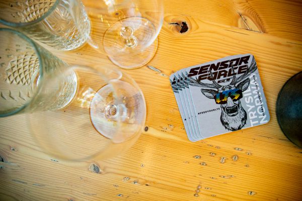 GT Force & Sensor 2019