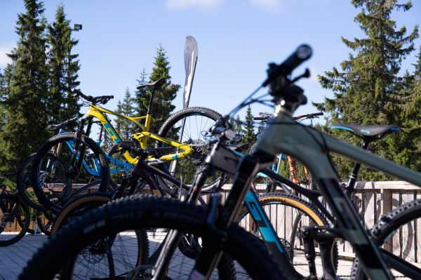 GT Force & Sensor 2019