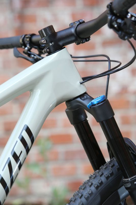 Specialized Epic EVO 2019