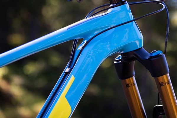 GT Force & Sensor 2019