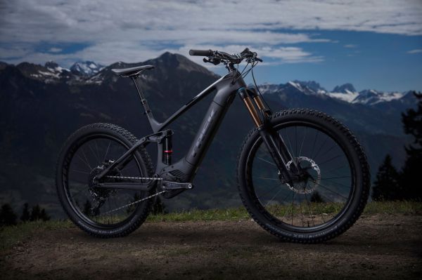 Trek Powerfly 2019