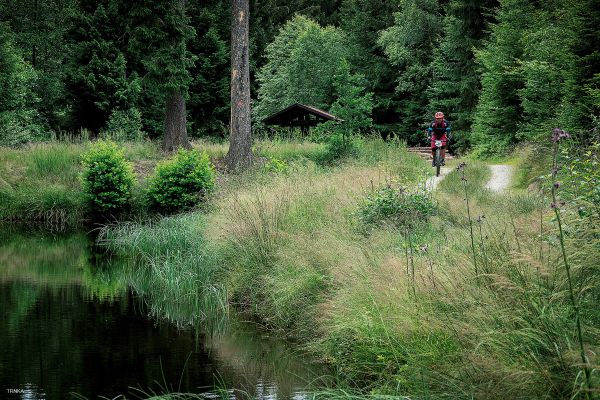 A takhle to dopadlo....