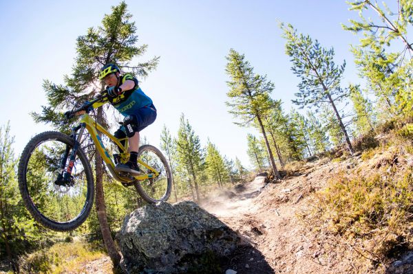 GT Force & Sensor 2019