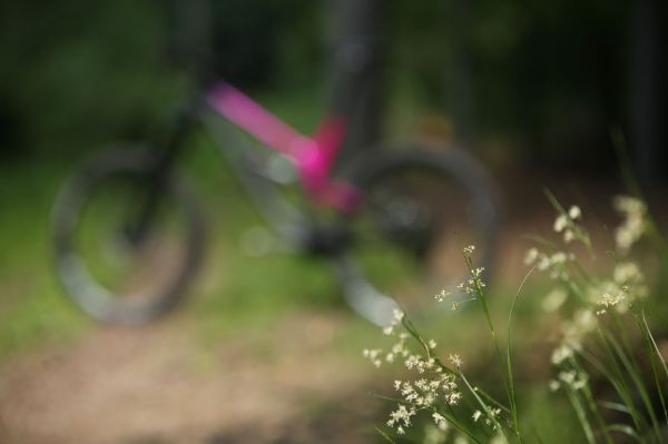 Canyon Torque CF 9.0