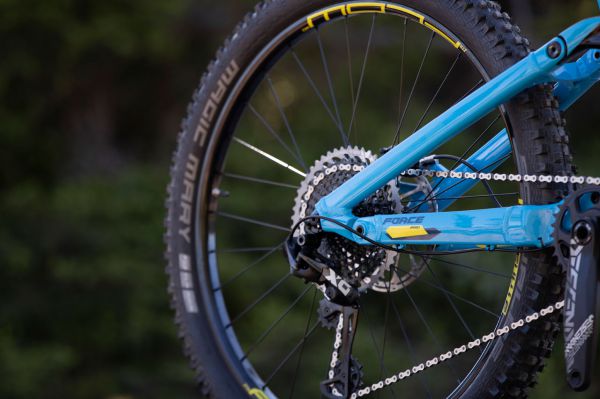 GT Force & Sensor 2019