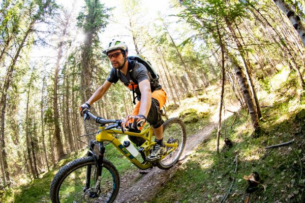 GT Force & Sensor 2019