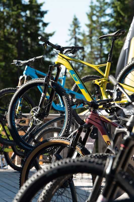 GT Force & Sensor 2019