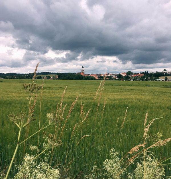 Gravel Blinduro 2018 - Slavonice z trasy