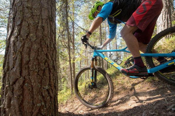 GT Force & Sensor 2019