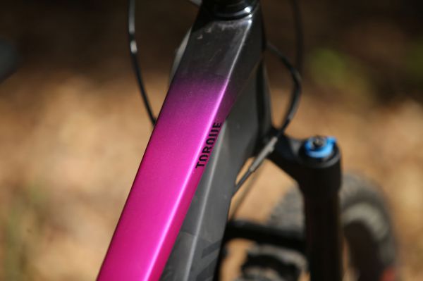 Canyon Torque CF 9.0