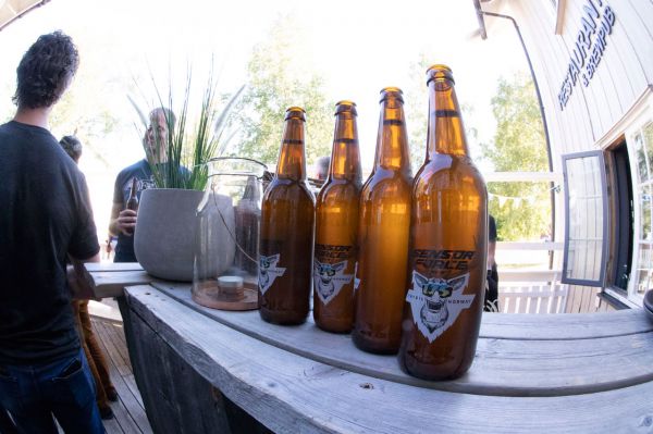 GT Force & Sensor 2019