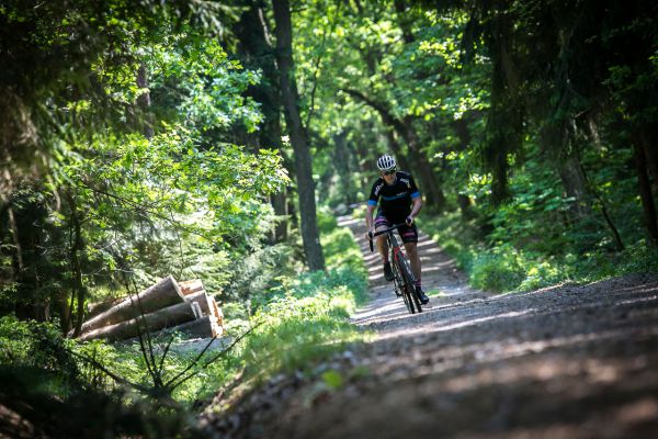 Scott Speedster Gravel 10 Disc