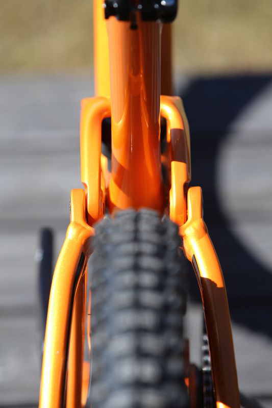 Giant Trance 29 ER 2019