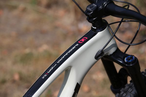 Kona Process 153 CR 29 2019