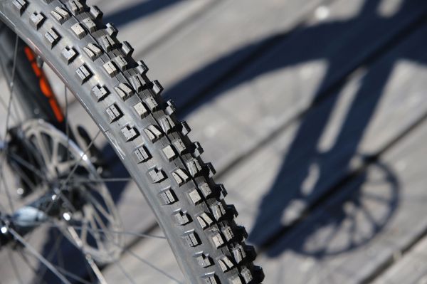 Giant Trance 29 ER 2019