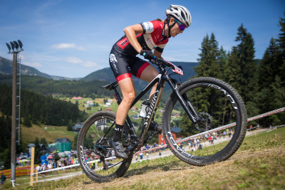 Jitka Škarnitzlová