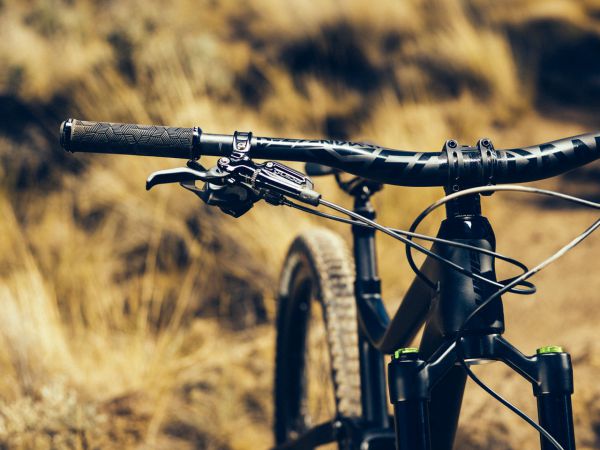 Giant Trance 29 ER 2019