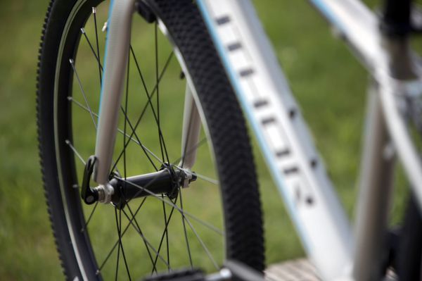 Author Ultrasonic 24