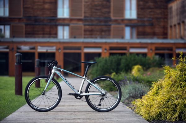 Author Ultrasonic 24