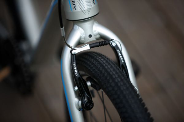 Author Ultrasonic 24