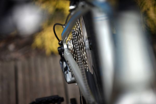 Author Ultrasonic 24