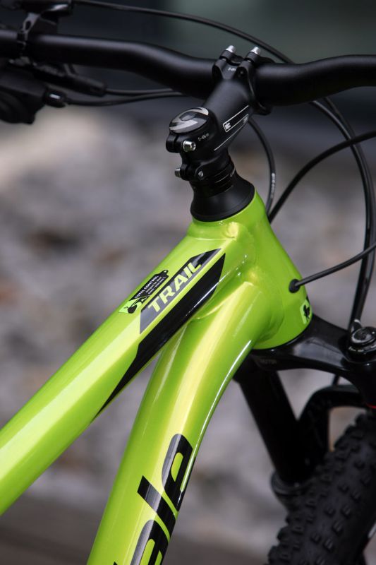 Cannondale Trail 29 1