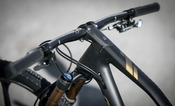 Mondraker 2019