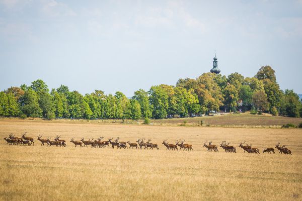 Jistebnický MTB Maraton 2018