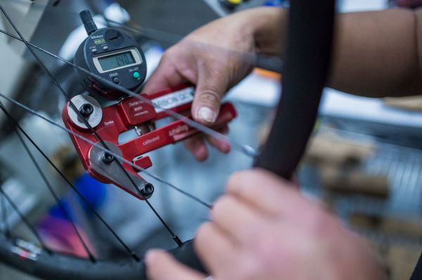 Santa Cruz factory - Vyladěno