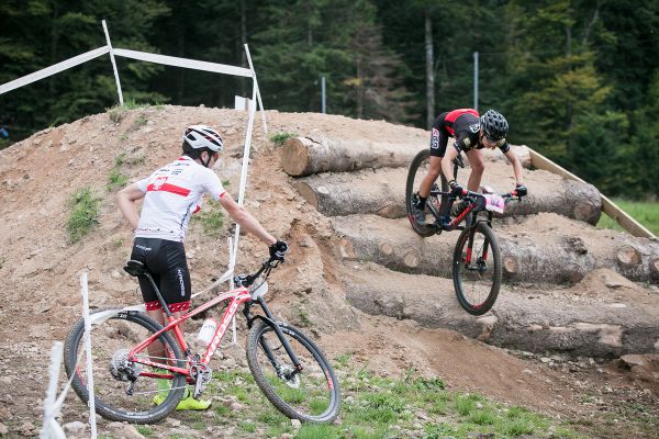 Poláci pilují hrůzostrašně vyhlížející drop po kládách...