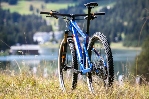 BMC Fourstroke 01 2019