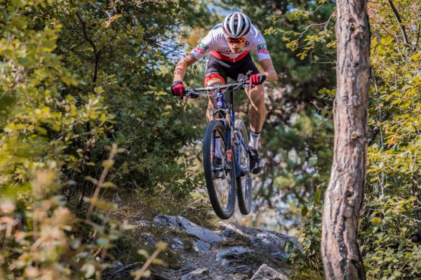 BMC Fourstroke 01 2019