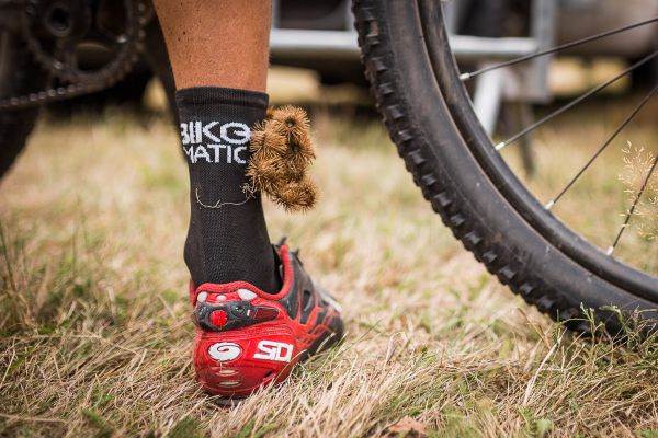 Author Šela Marathon 2018