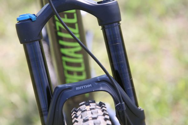 Specialized Stumpjumper Comp Carbon 29