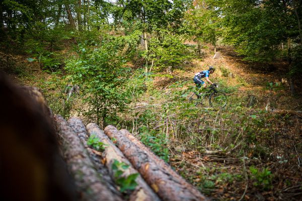 Author Šela Marathon 2018