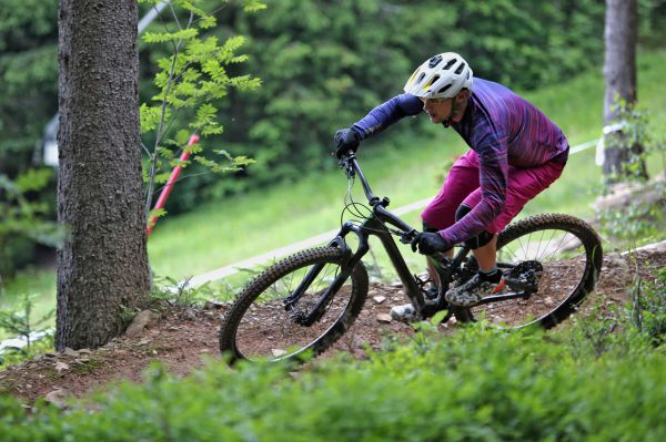 Specialized Stumpjumper Comp Carbon 29