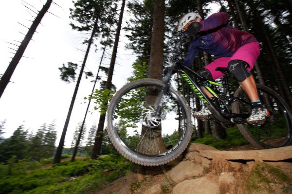 Specialized Stumpjumper Comp Carbon 29