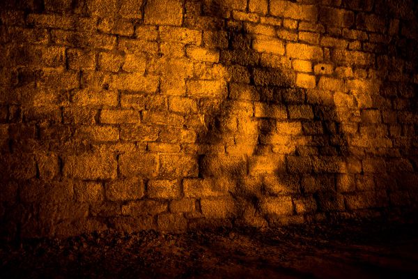 Author Šela Marathon 2018