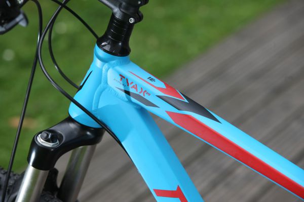 Mongoose Tyax 29 Expert